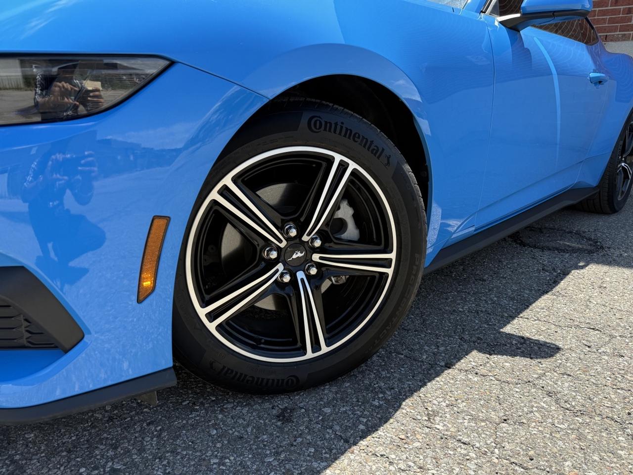 2025 Ford Mustang EcoBoost|One Owner|Super Low Kms Photo