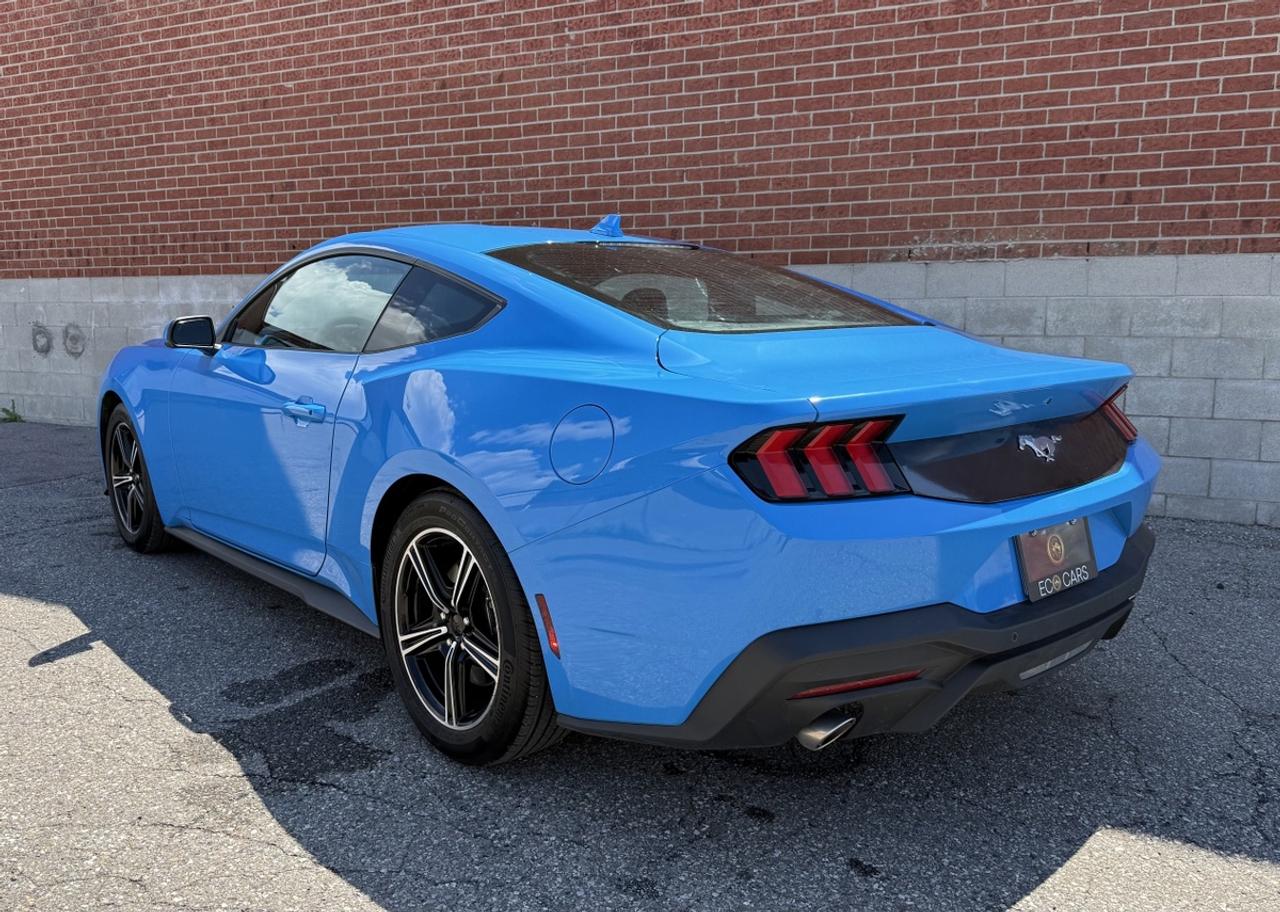 2025 Ford Mustang EcoBoost|One Owner|Super Low Kms Photo