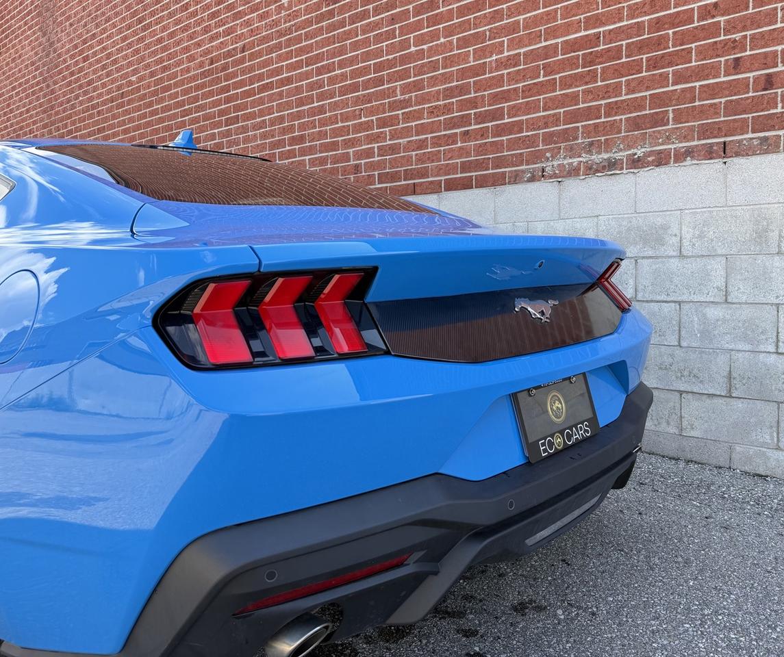 2025 Ford Mustang EcoBoost|One Owner|Super Low Kms Photo