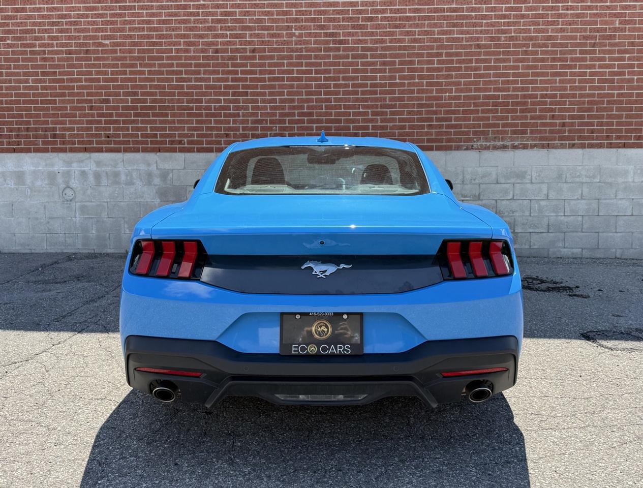 2025 Ford Mustang EcoBoost|One Owner|Super Low Kms Photo
