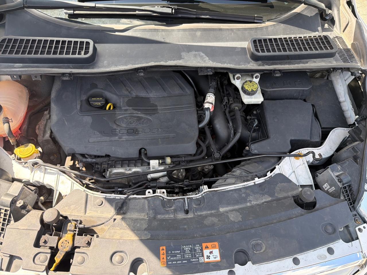 2018 Ford Escape SEL Photo