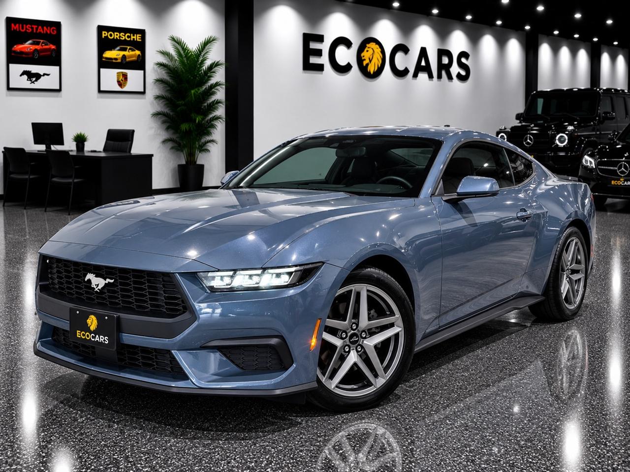 2024 Ford Mustang Ecoboost|One Owner|Ford Service History|Clean Carf Photo
