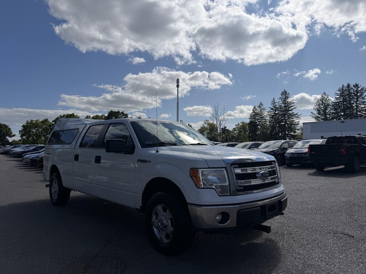 2014 Ford F-150  - Photo #1