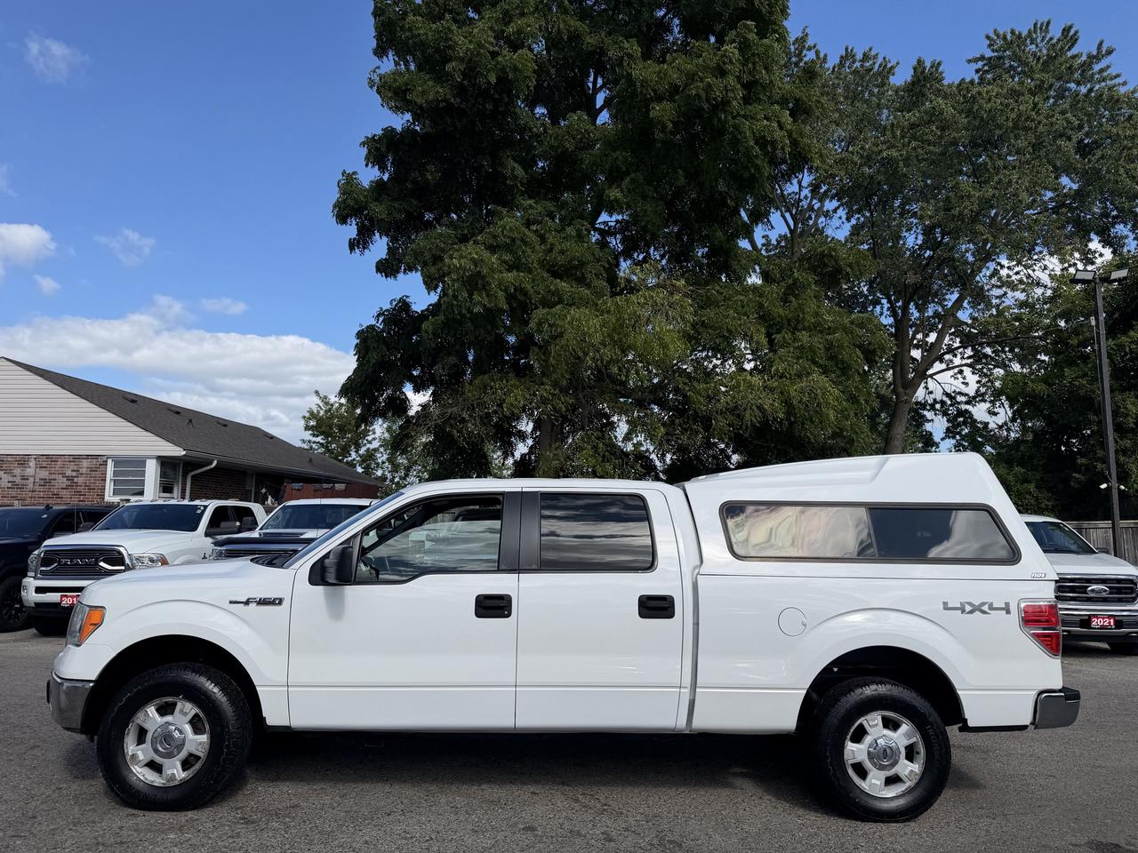 2014 Ford F-150 XLT | 5.0L V8 | Clean CARFAX Photo3