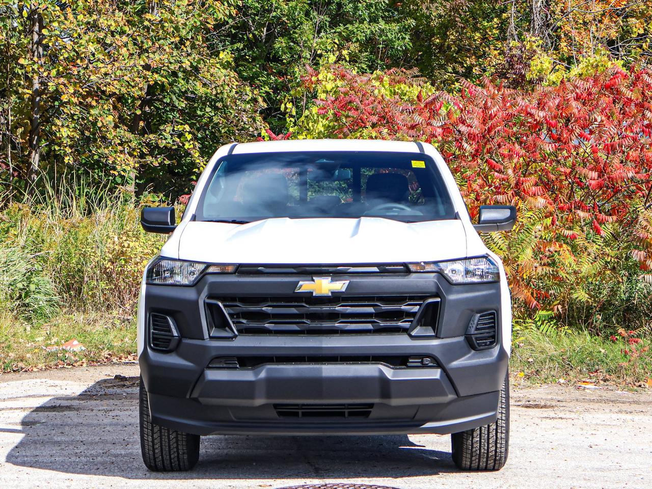 2026 Chevrolet Colorado 2WD Work Truck Photo