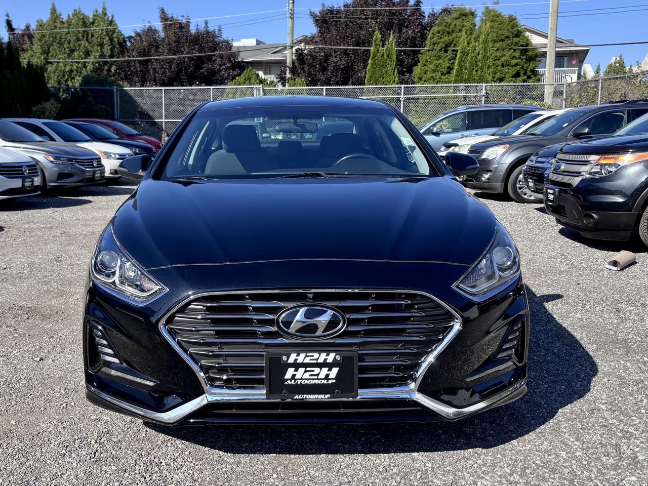 2019 Hyundai Sonata FINANCING AVAILABLE Photo2