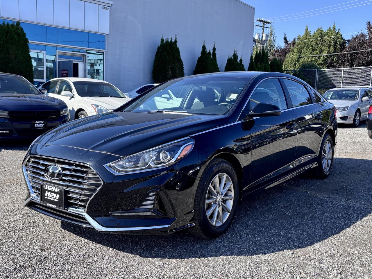 2019 Hyundai Sonata FINANCING AVAILABLE Photo1