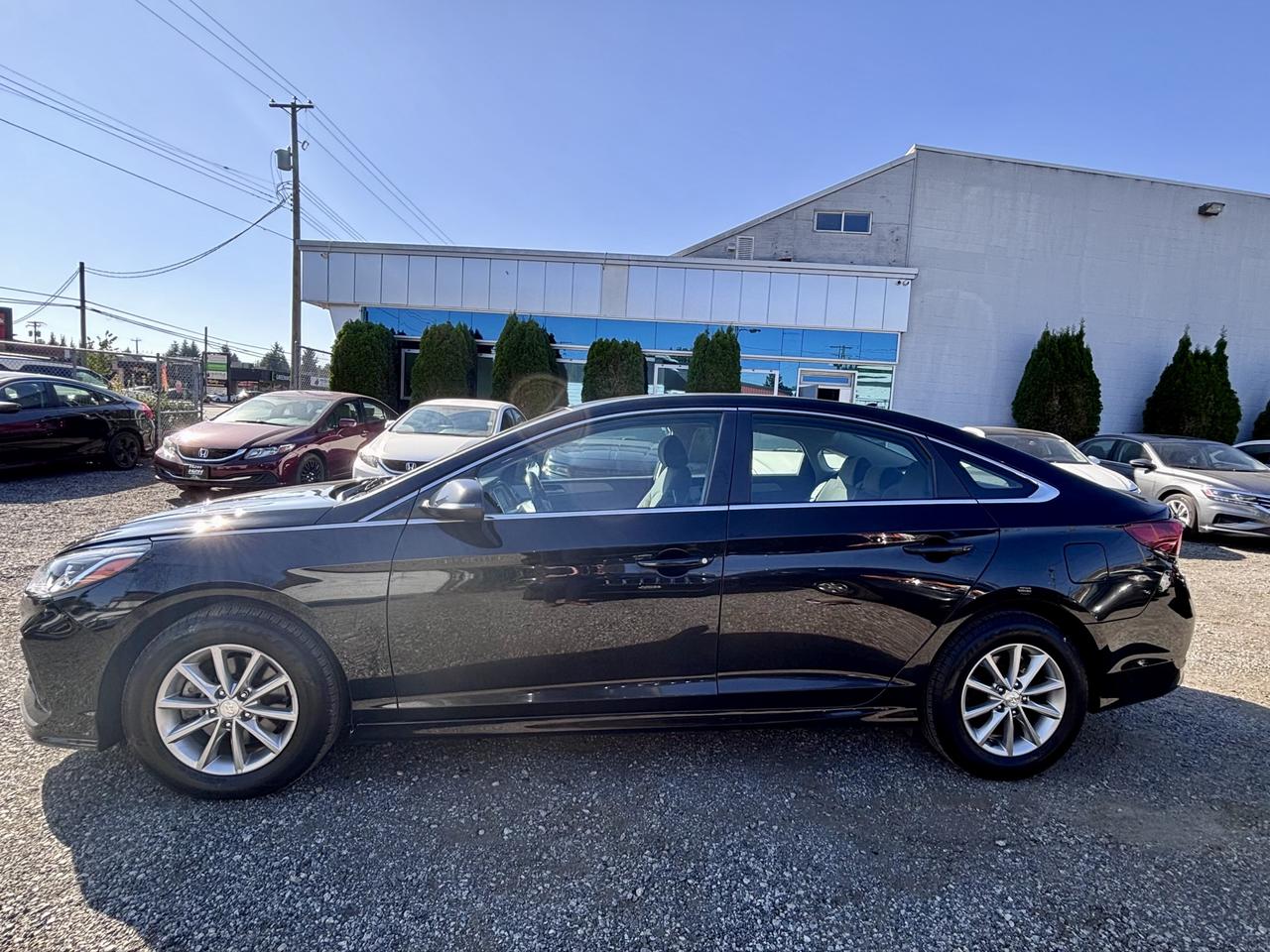 2019 Hyundai Sonata FINANCING AVAILABLE Photo8