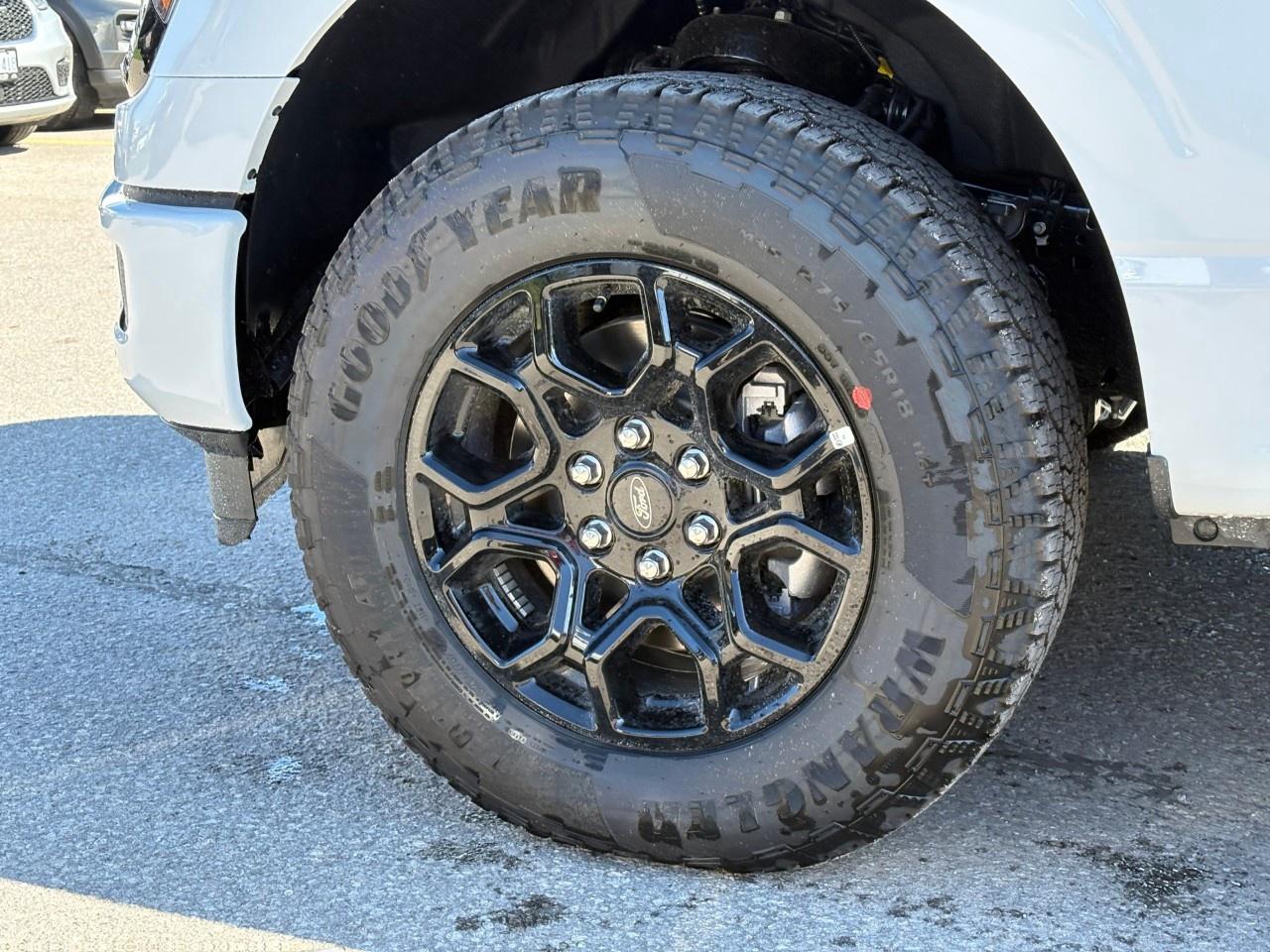2026 Ford F-150 XLT 4WD SuperCrew 5.5' Box Photo