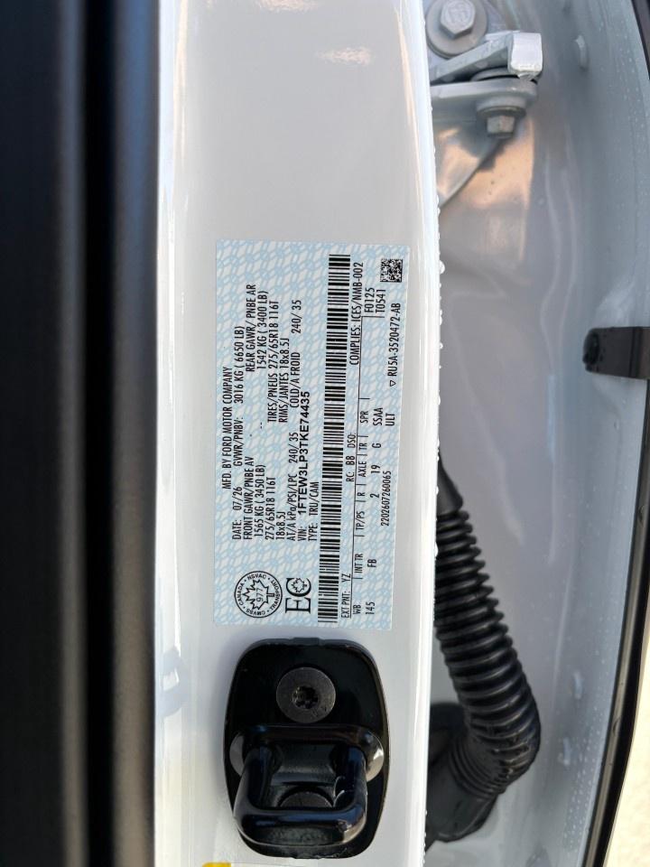 2026 Ford F-150 XLT 4WD SuperCrew 5.5' Box Photo