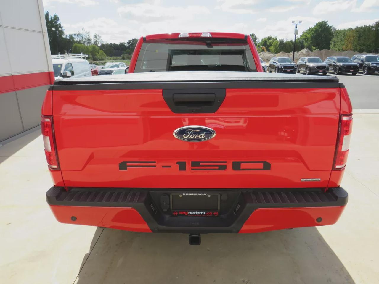 2019 Ford F-150 XL | 4WD | Automatic | Regular Cab | XL Sport Appearance Package |  Alloy Wheels | Cruise Control | Back-Up Camera | Rear Park Assist | Pre-Collision Assist | Automatic Emergency Braking | Fog Lights | Tailgate Step | Trailer Tow Package | Pro Trailer Bac Photo