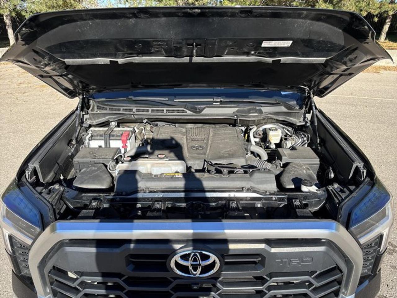 2023 Toyota Tundra Limited TRD Off Road Crewmax 4x4 | No Accidents Photo