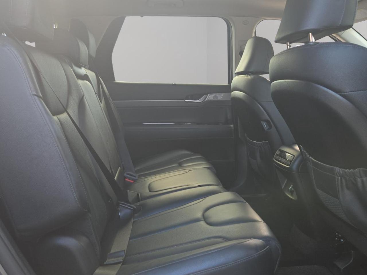 2020 Hyundai PALISADE LUXURY Photo