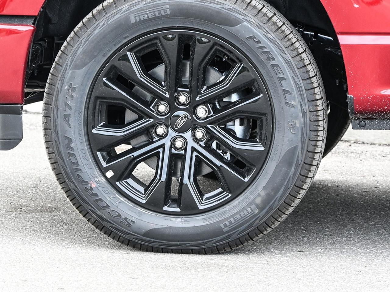 2026 Ford F-150 XLT Photo