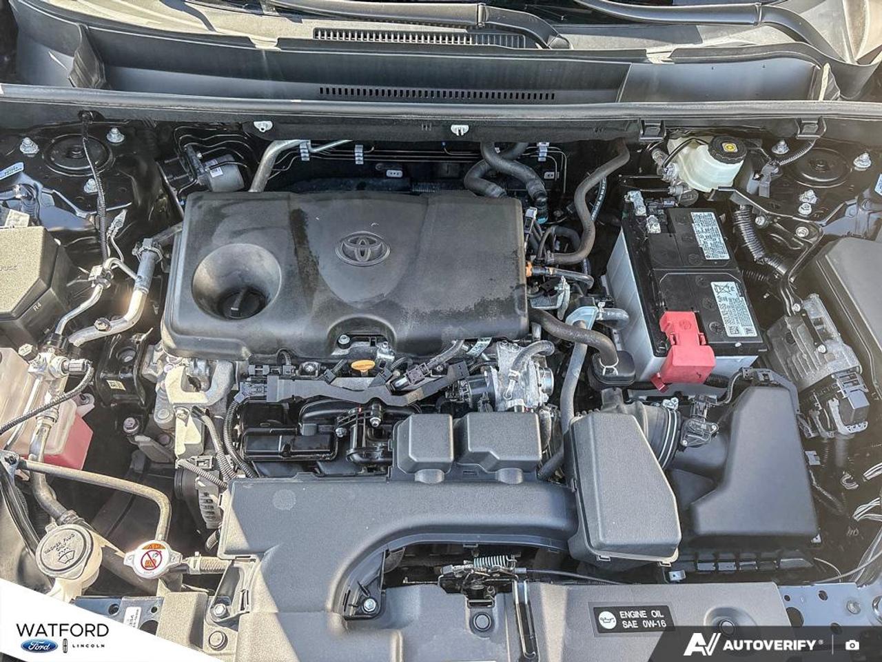 2025 Toyota RAV4 XLE AWD Photo