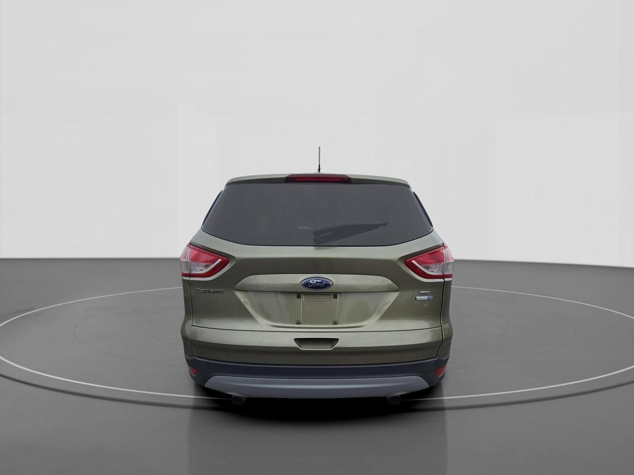 2013 Ford Escape SE Photo