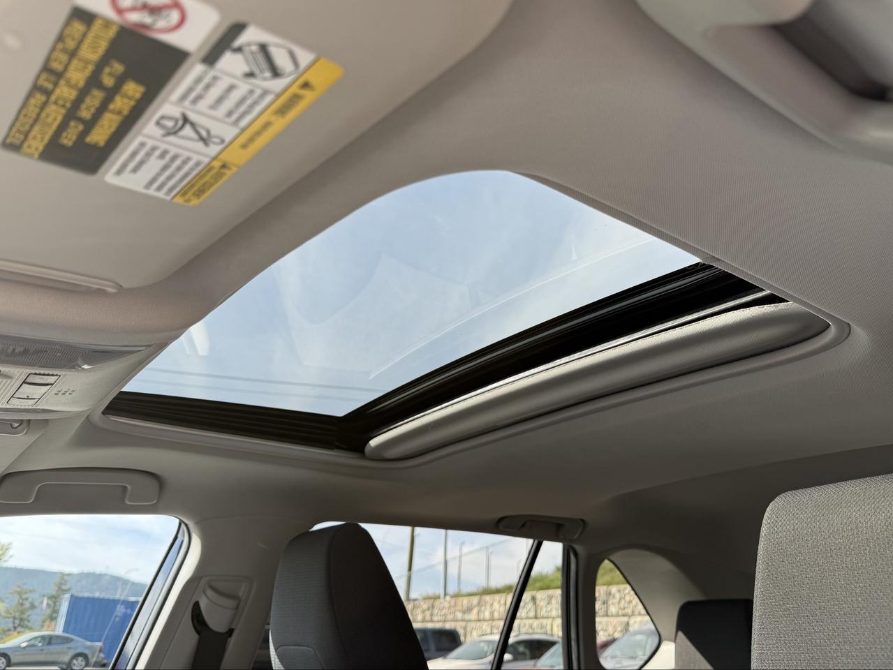 2019 Toyota RAV4 XLE Photo