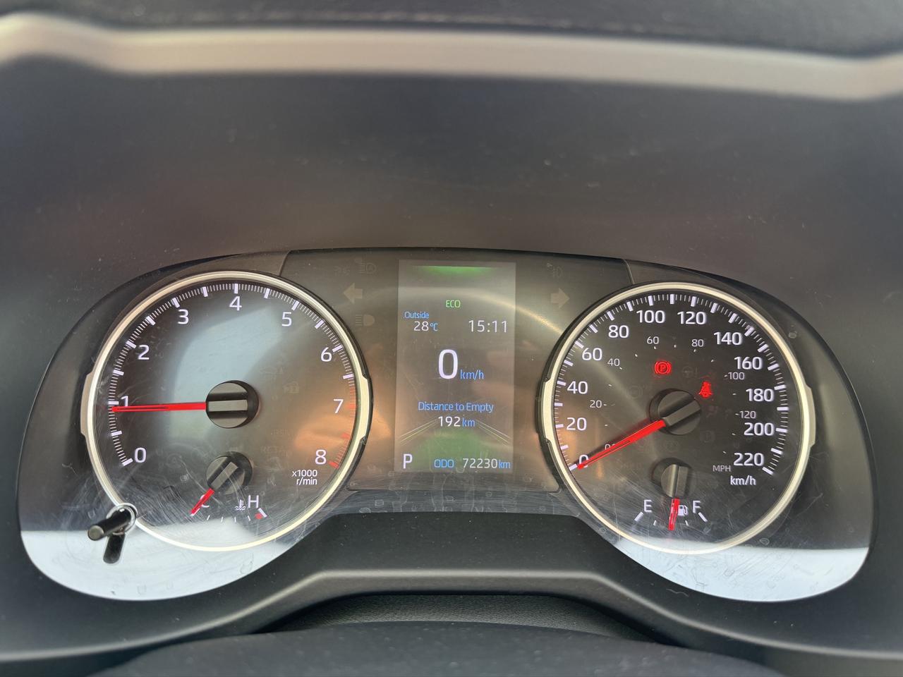 2019 Toyota RAV4 XLE Photo