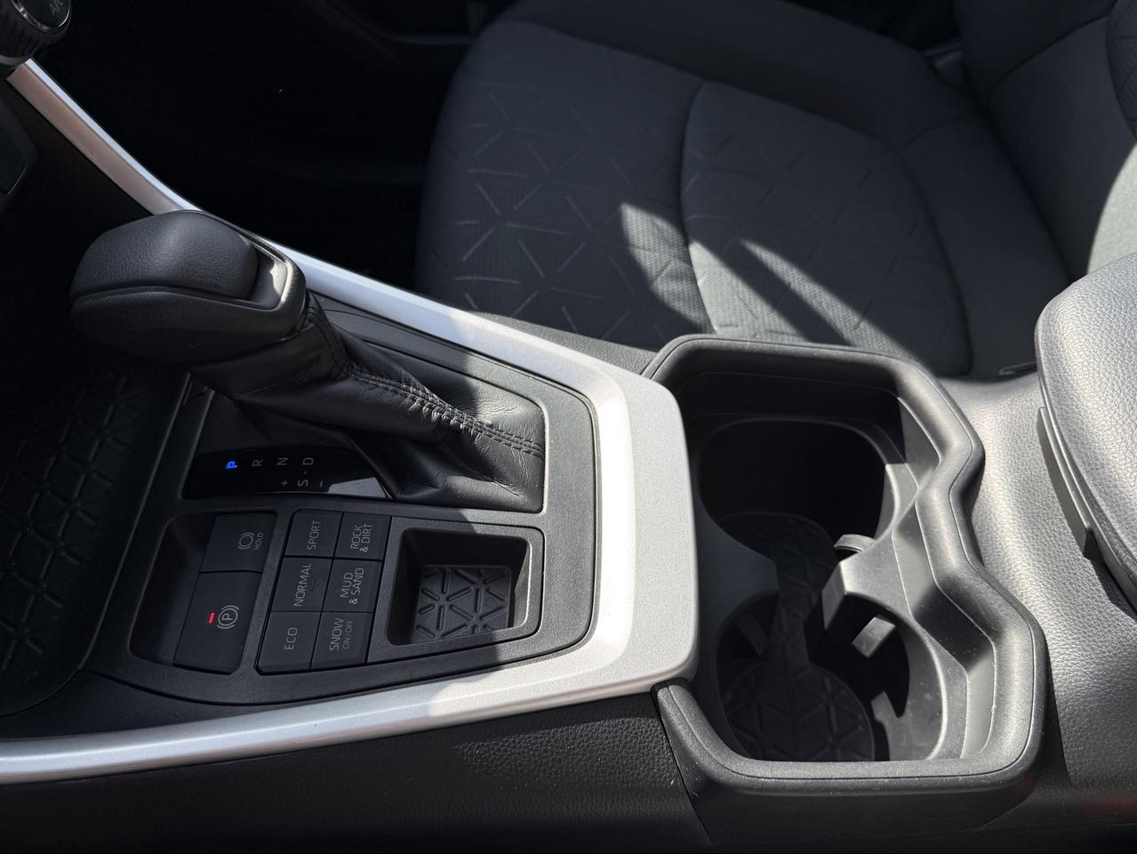 2019 Toyota RAV4 XLE Photo