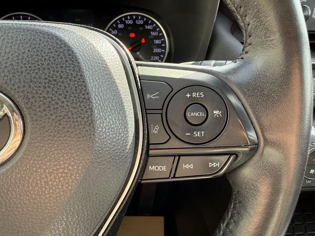 2019 Toyota RAV4 XLE Photo
