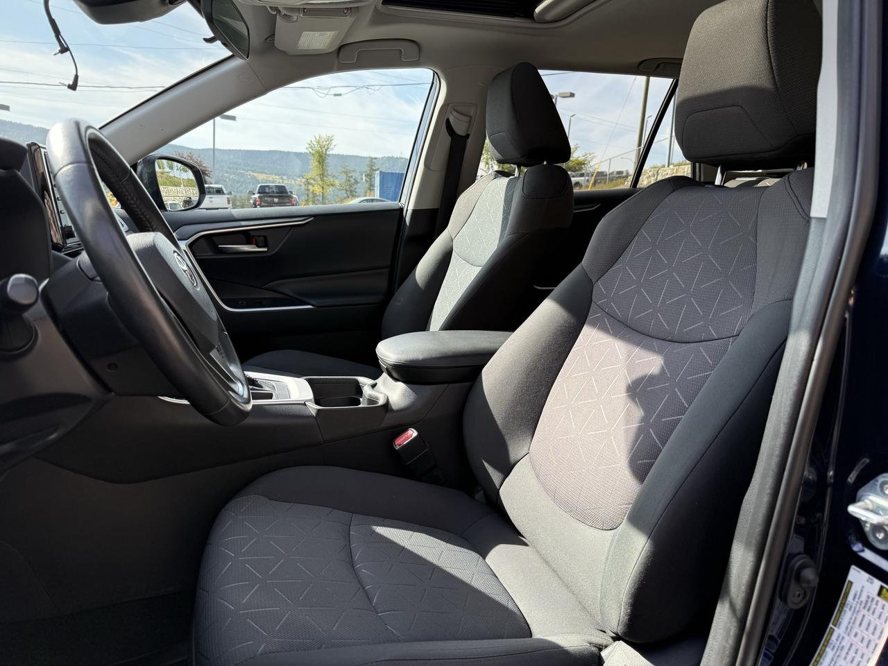 2019 Toyota RAV4 XLE Photo