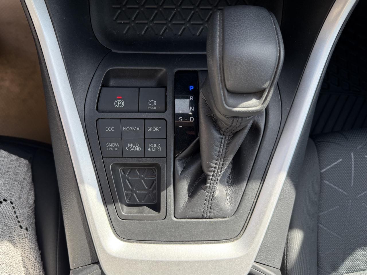 2019 Toyota RAV4 XLE Photo