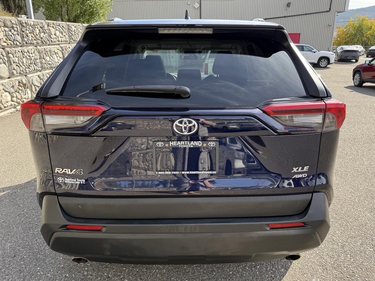 2019 Toyota RAV4 XLE Photo
