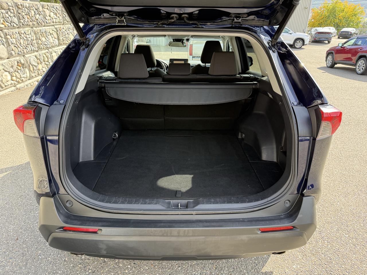 2019 Toyota RAV4 XLE Photo