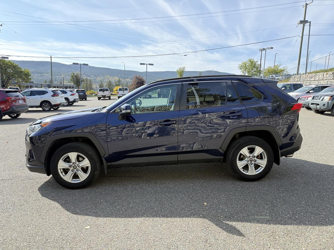2019 Toyota RAV4 XLE Photo