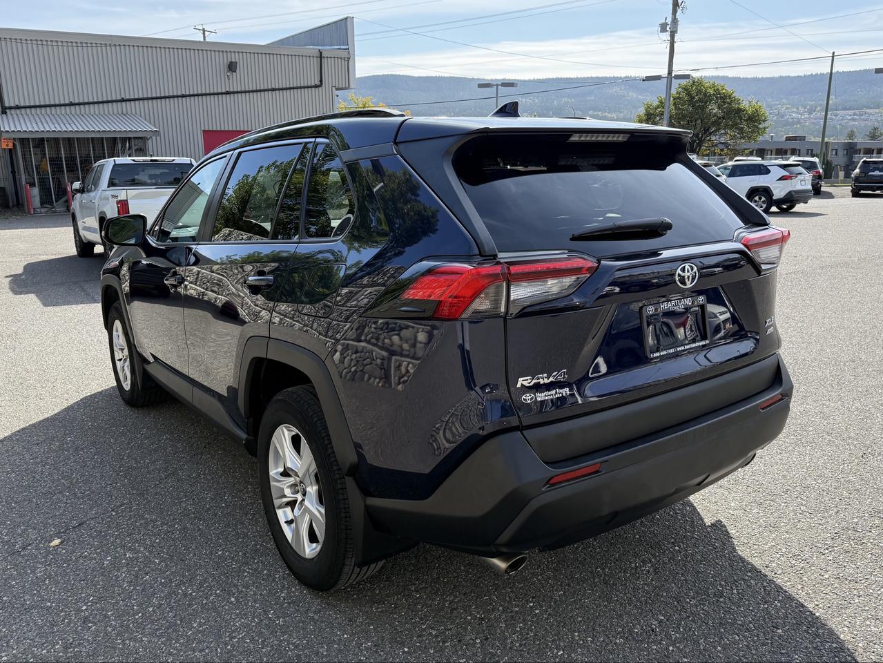 2019 Toyota RAV4 XLE Photo