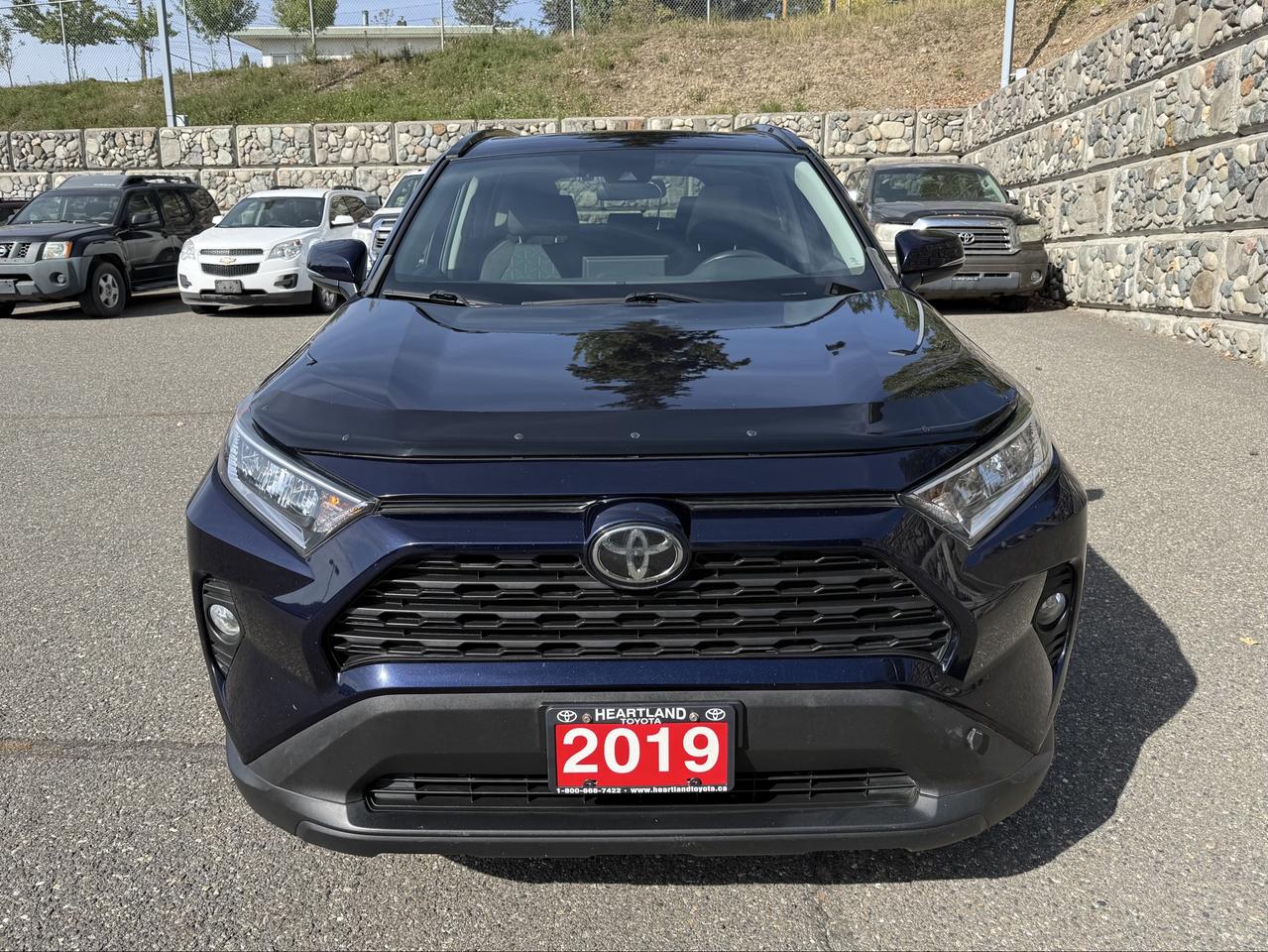 2019 Toyota RAV4 XLE Photo