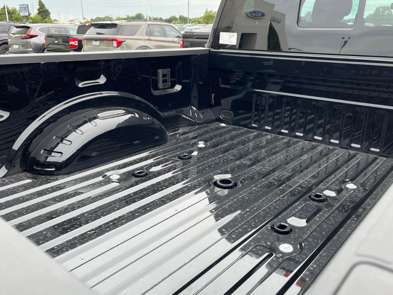 2027 Ford F-250 Platinum Photo
