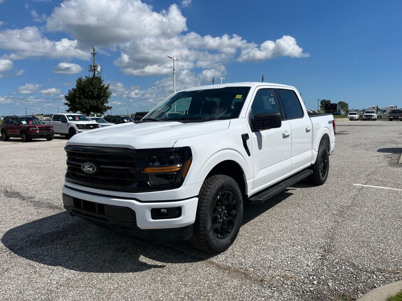 2026 Ford F-150 XLT Photo