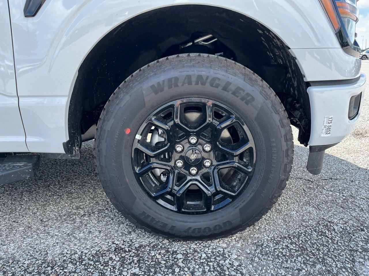 2026 Ford F-150 XLT Photo