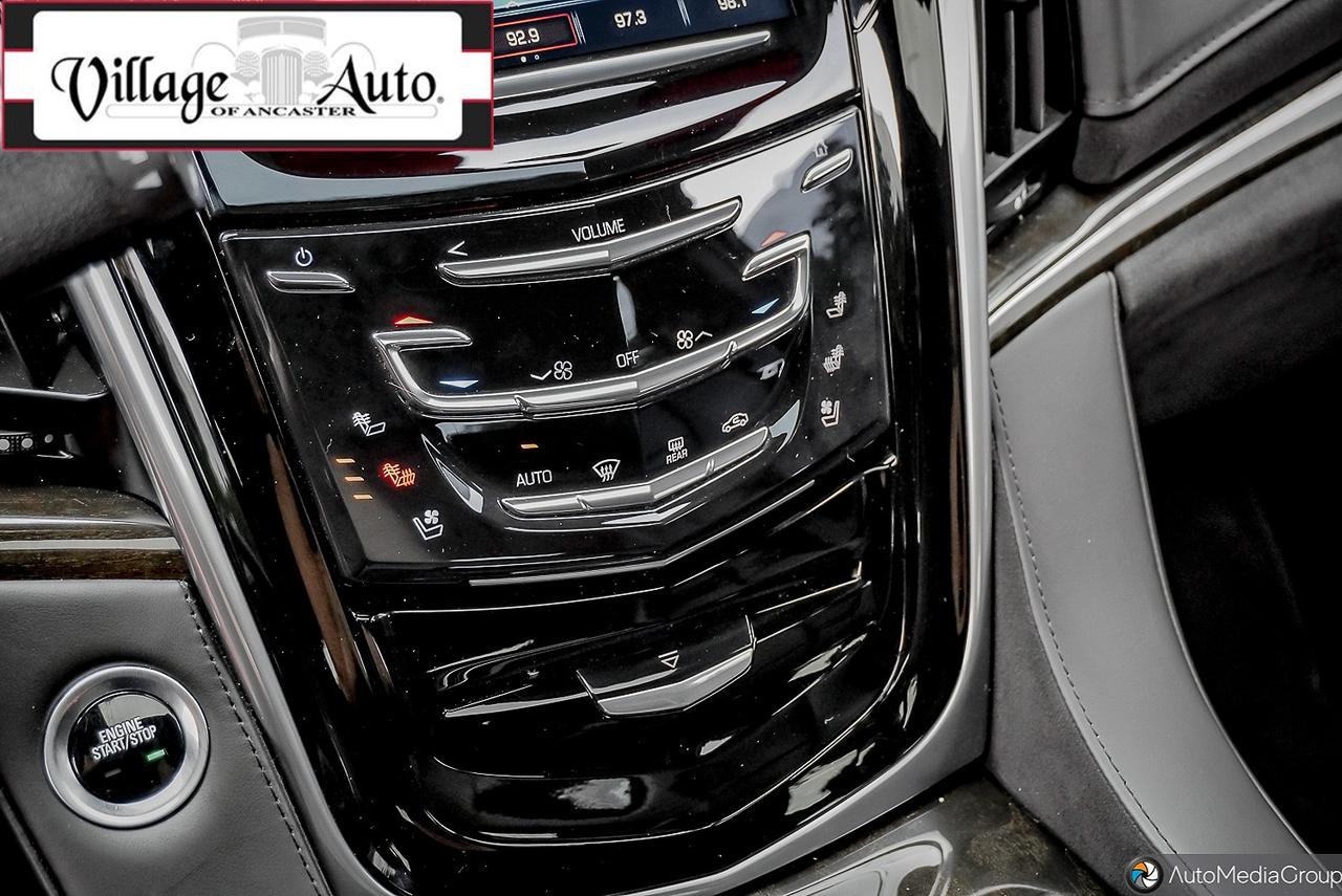 2020 Cadillac Escalade 4WD 4dr Platinum Photo