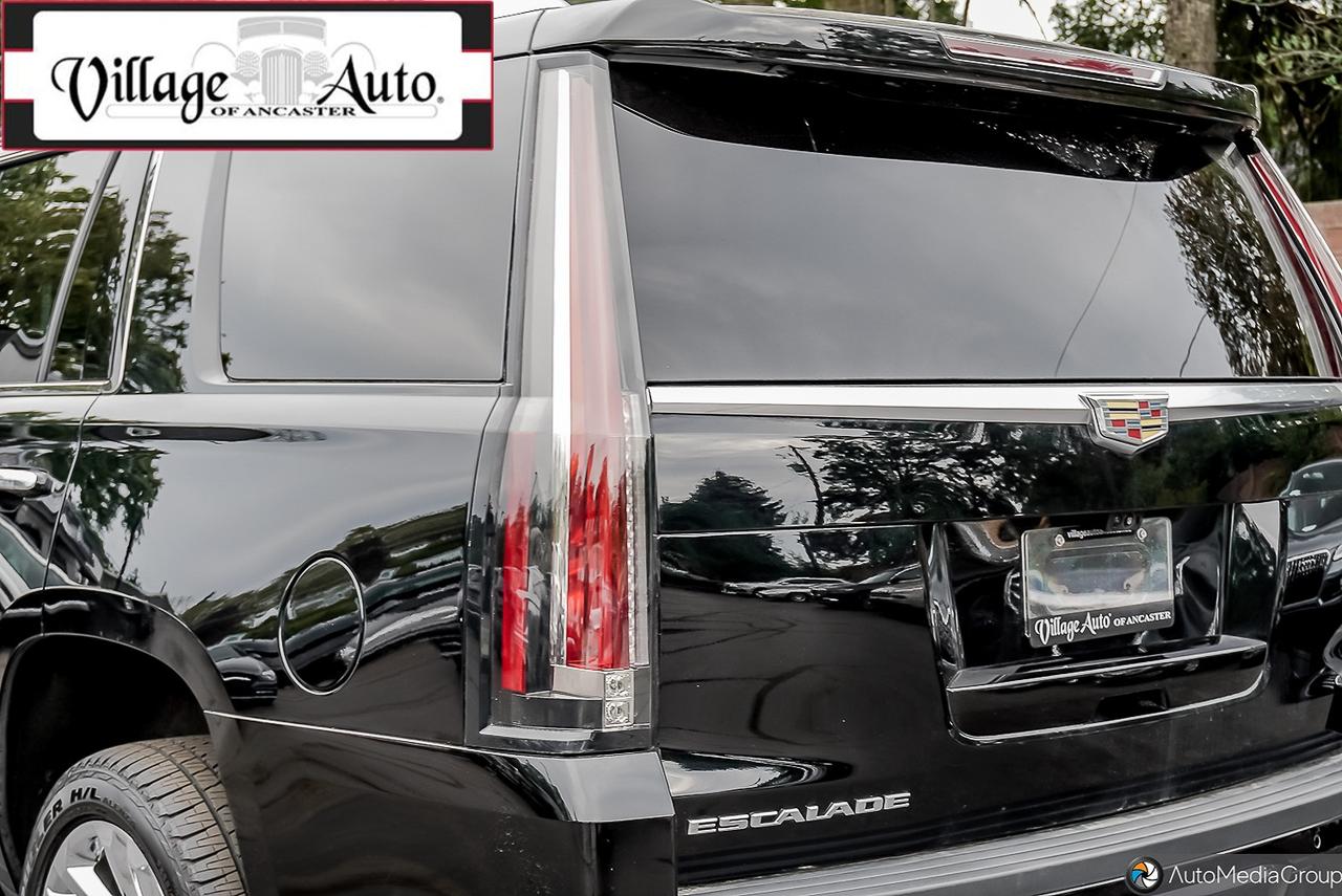 2020 Cadillac Escalade 4WD 4dr Platinum Photo