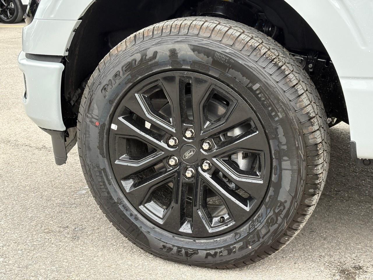 2026 Ford F-150 XLT 4WD SuperCrew 5.5' Box Photo