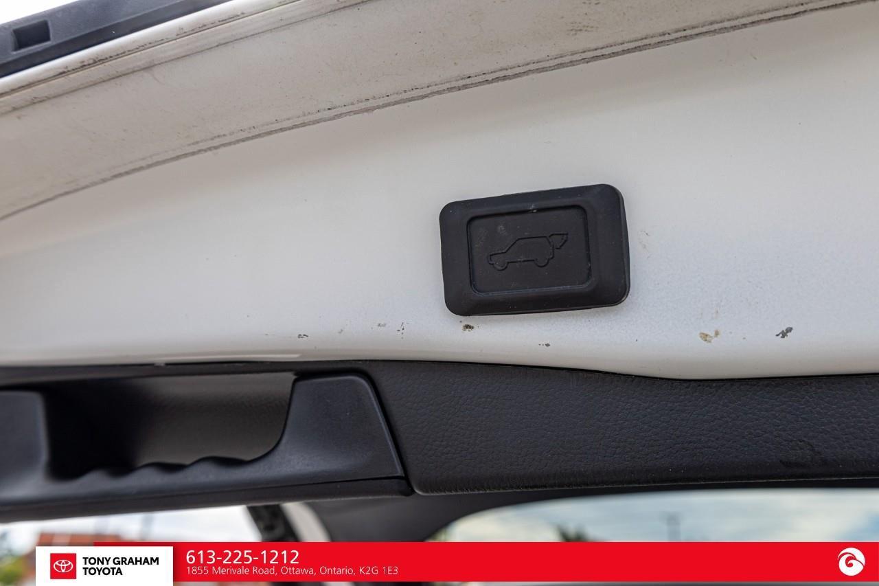 2025 Toyota RAV4 XLE Photo