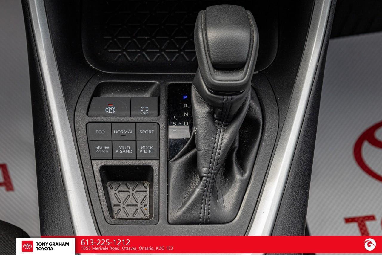 2025 Toyota RAV4 XLE Photo