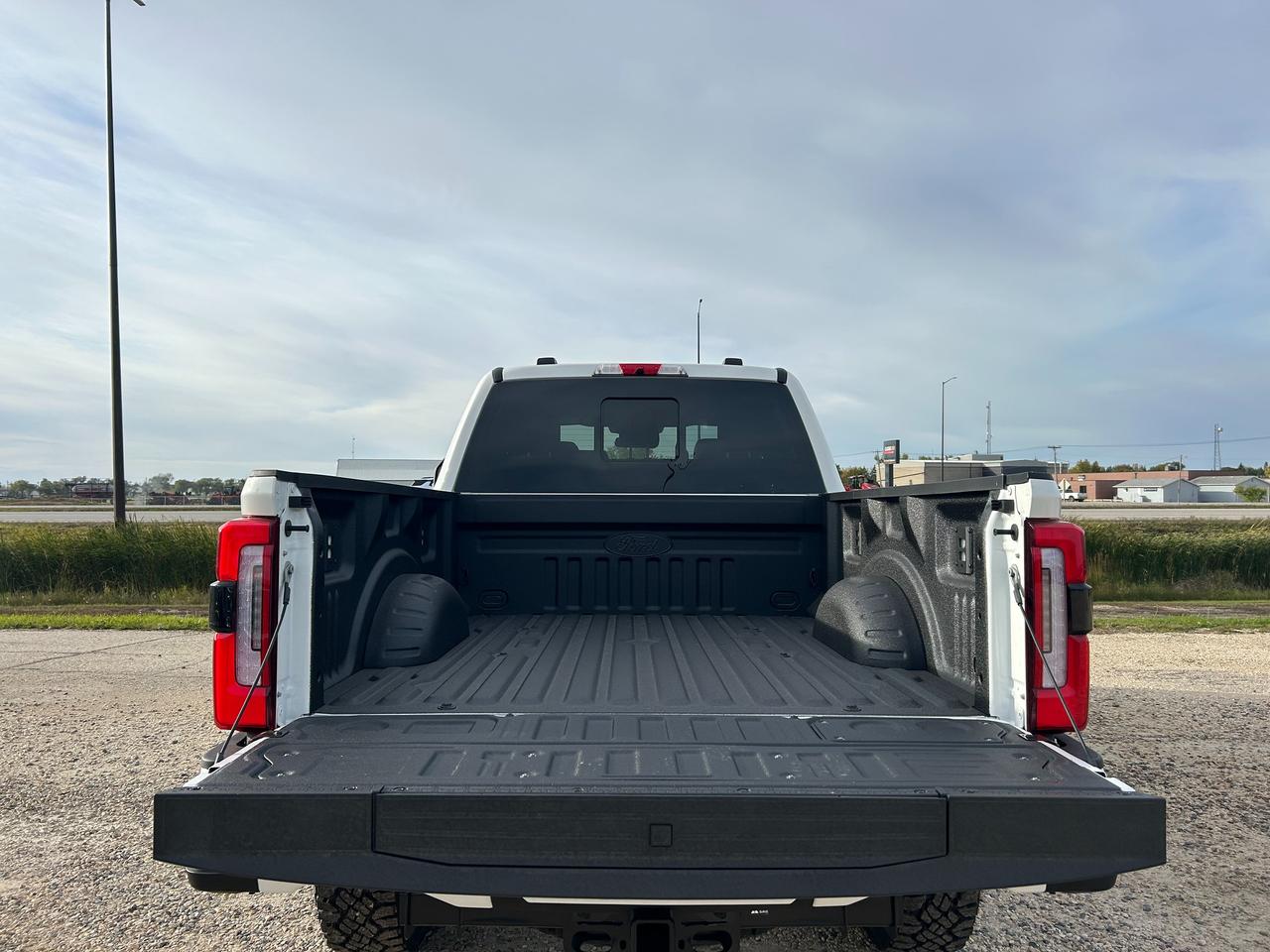 2027 Ford F-250 Super Duty SRW PLATINUM 4WD Crew Cab 6.75' Box 703A Photo