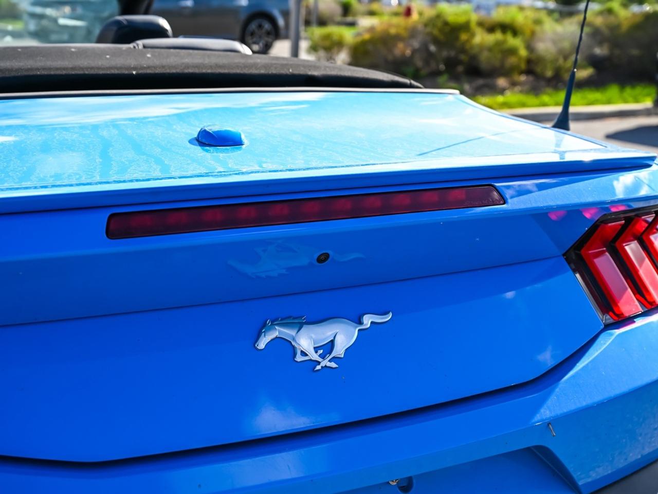 2024 Ford Mustang EcoBoost Premium Photo