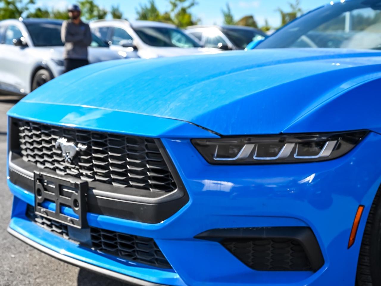 2024 Ford Mustang EcoBoost Premium Photo