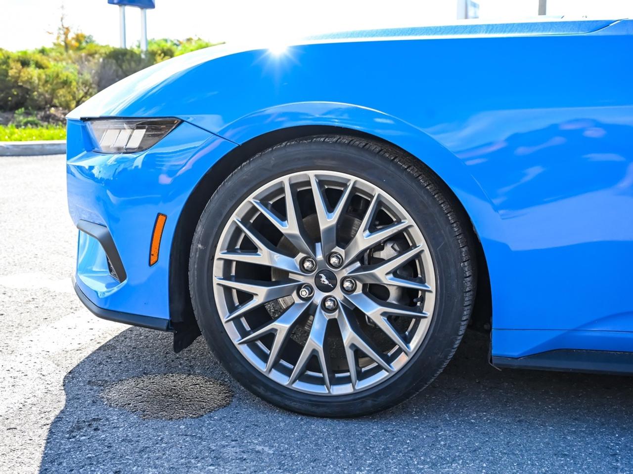 2024 Ford Mustang EcoBoost Premium Photo