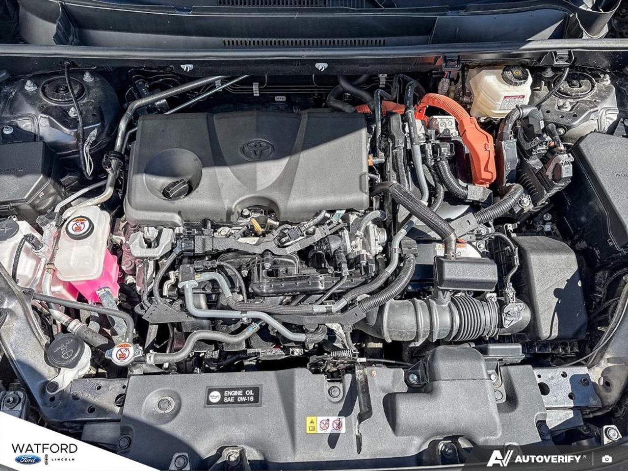 2024 Toyota RAV4 XLE AWD Photo