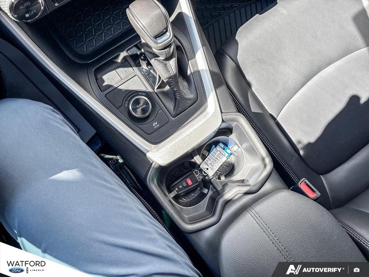 2024 Toyota RAV4 XLE AWD Photo