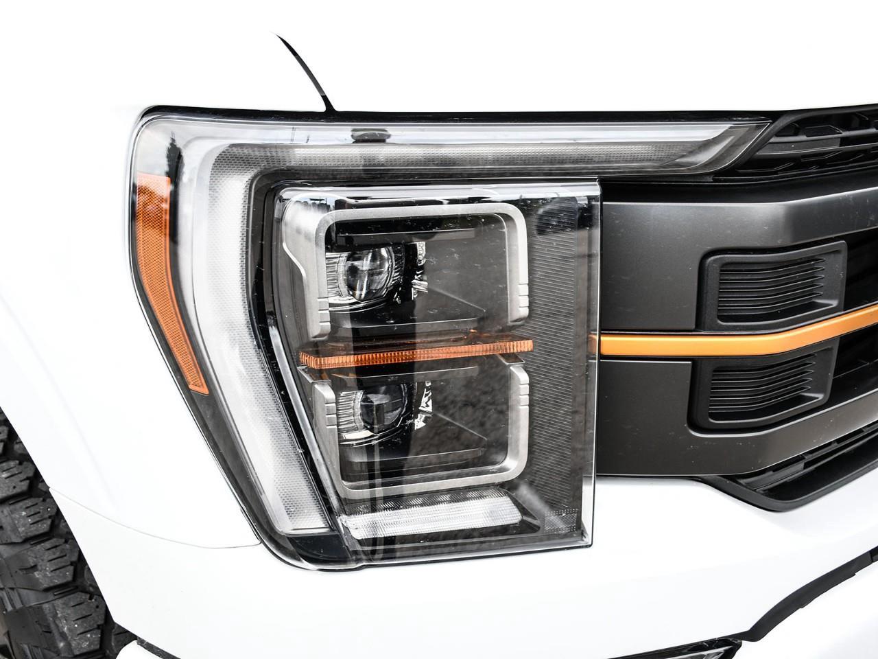 2023 Ford F-150 Tremor NAV | HTD SEATS | HTD STEERING | HTD REAR SEATS | ADAPTIVE CRUISE Photo