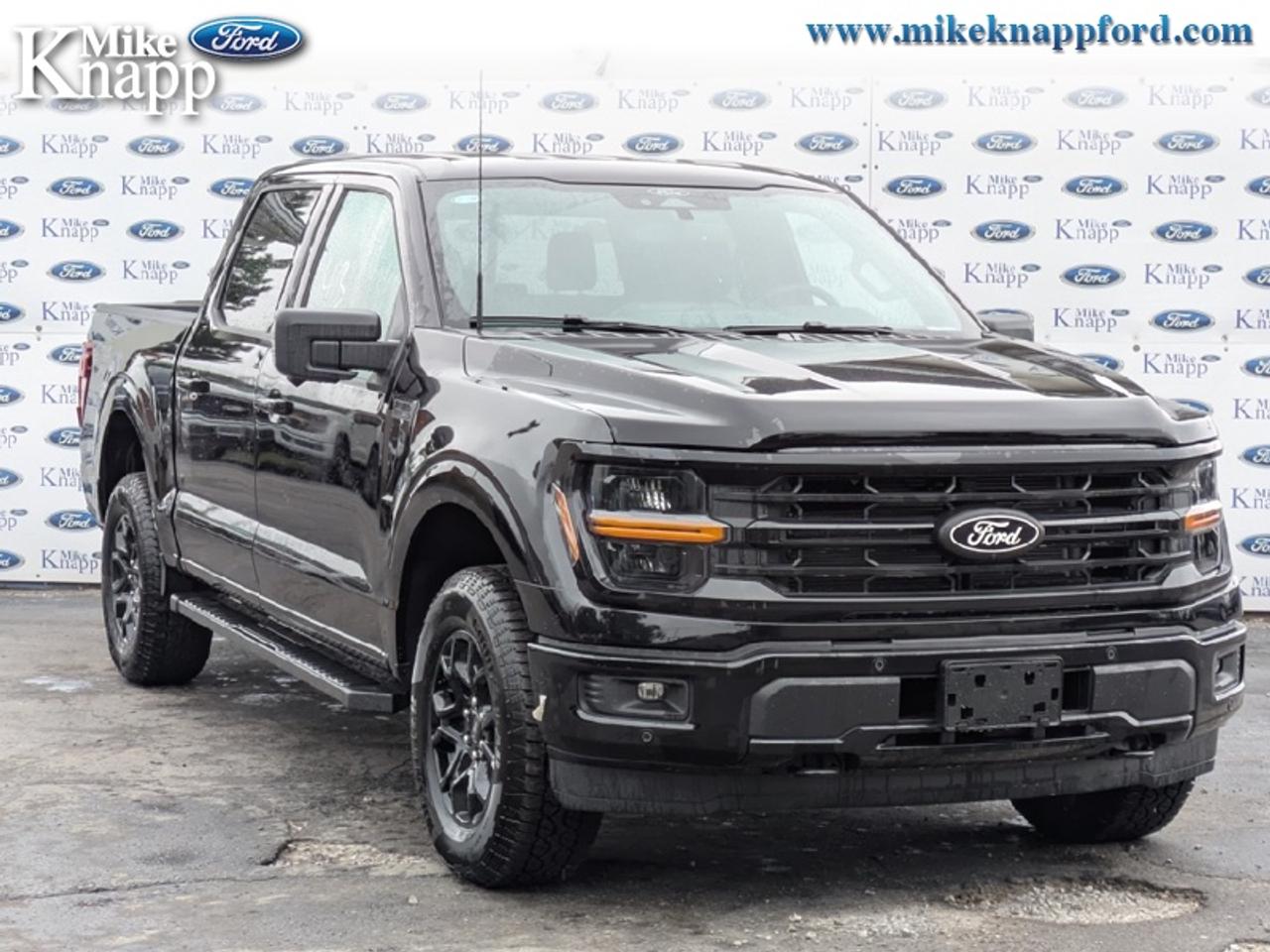 2026 Ford F-150 XLT Photo