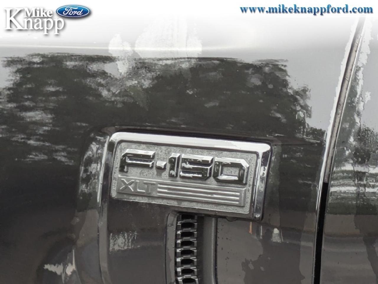 2026 Ford F-150 XLT Photo