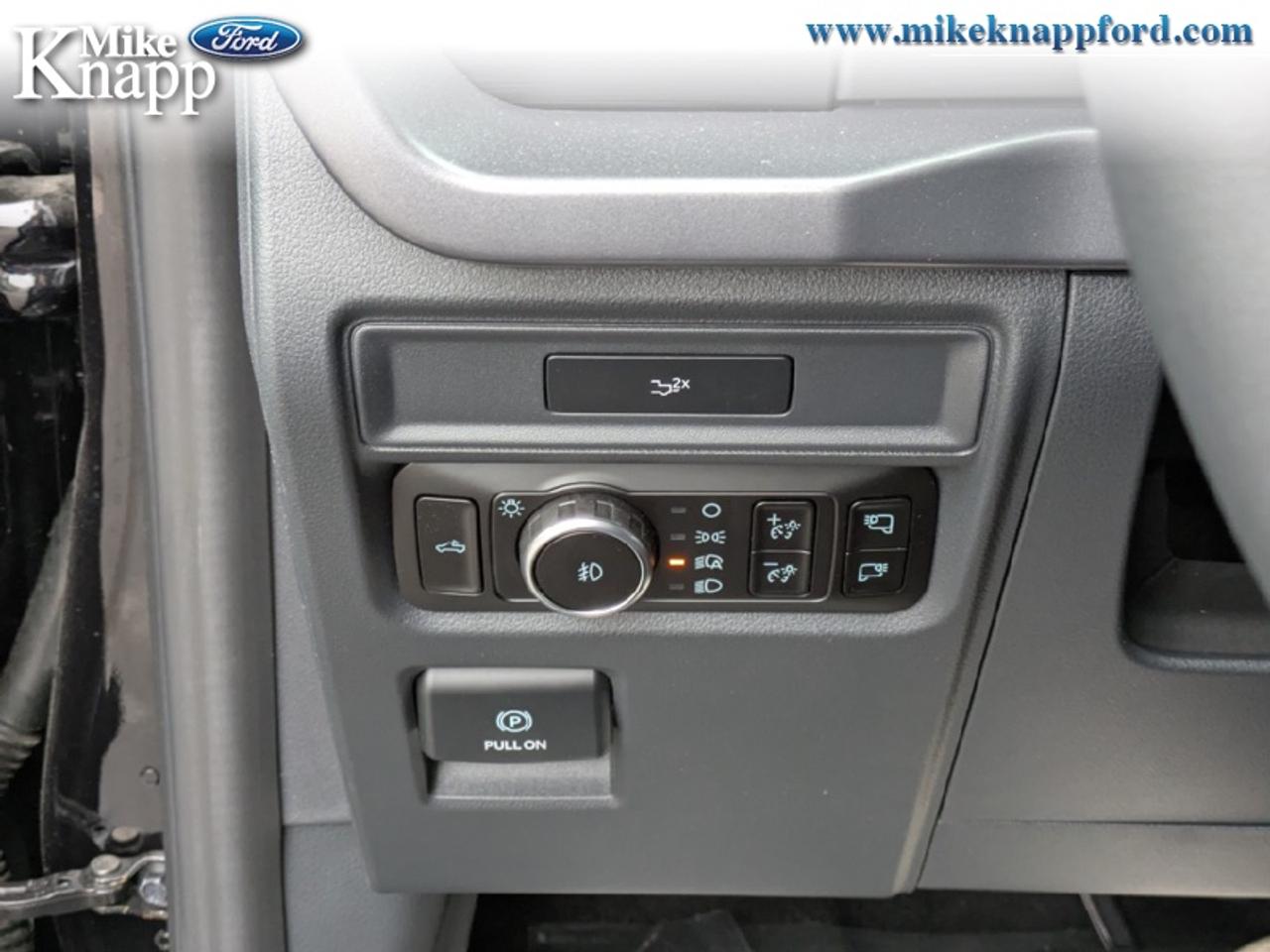 2026 Ford F-150 XLT Photo