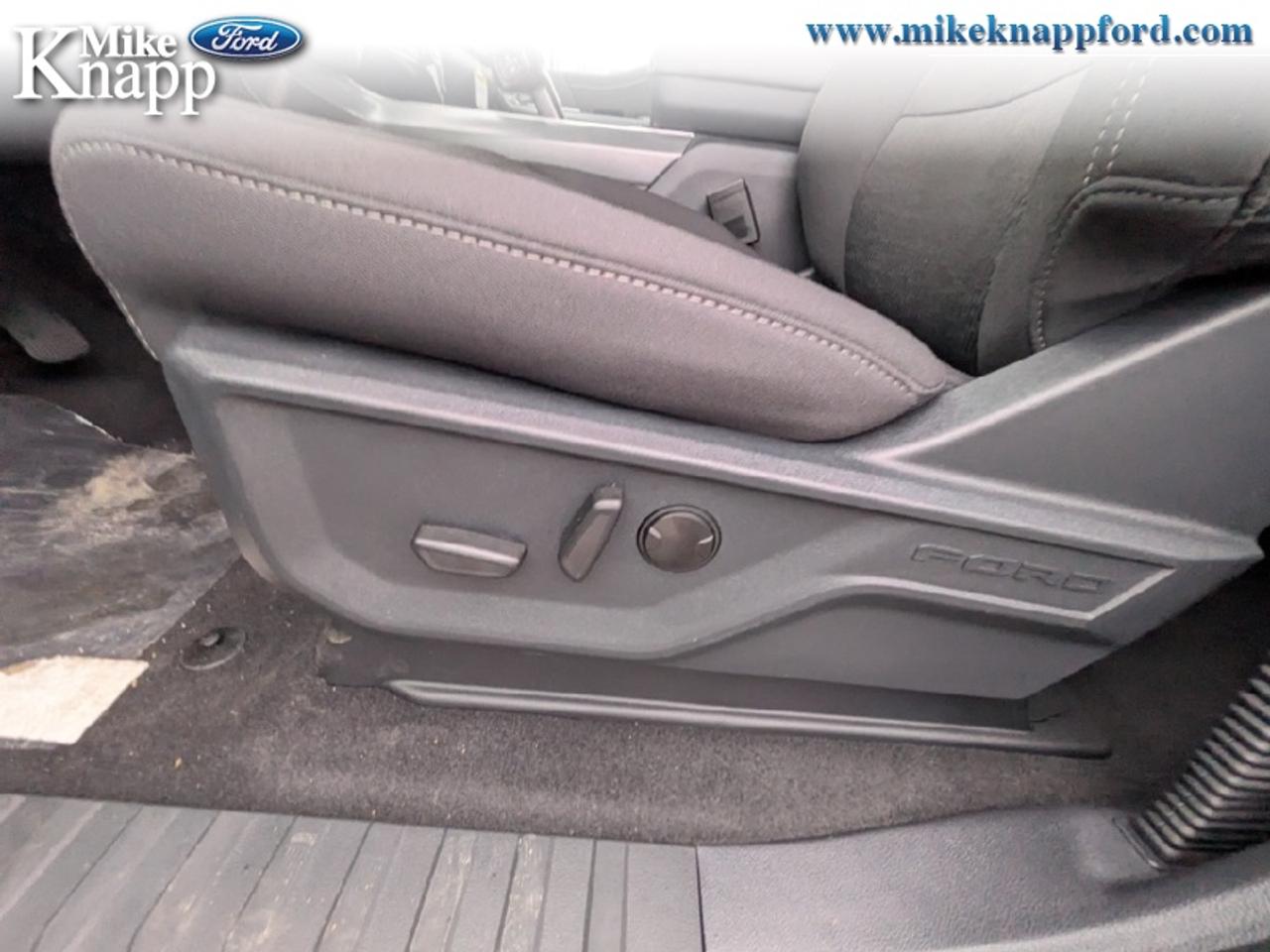2026 Ford F-150 XLT Photo